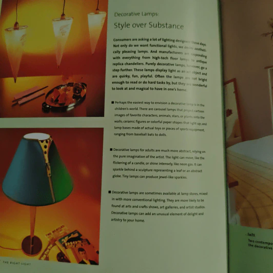 the right light - Lisa Skolnik รูปที่ 8