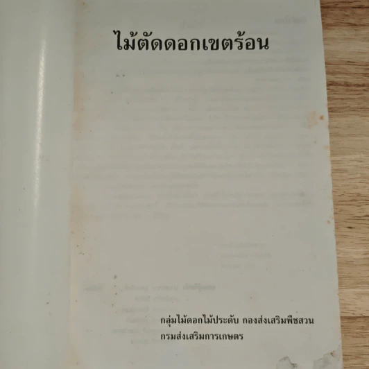 ไม้ตัดดอกเขตร้อน รูปที่ 6