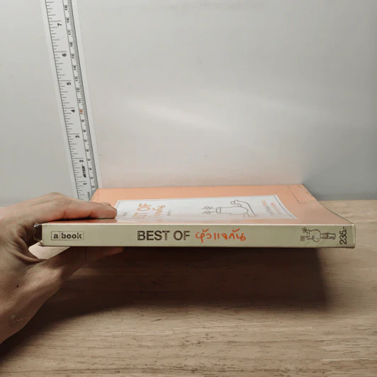 Best of หัวแจกัน - ไตรรงค์ ประสิทธิผล รูปที่ 2
