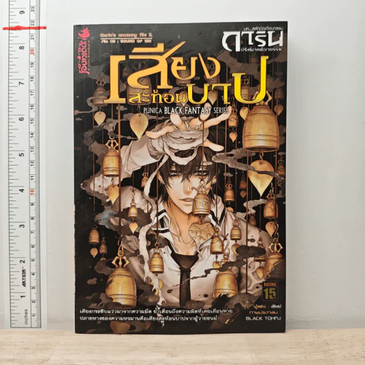 การิน ปริศนาคดีอาถรรพ์ ภาค สลักบิดเบือนกรรม เล่ม 3 ตอน เสียงสะท้อนบาป รูปที่ 1