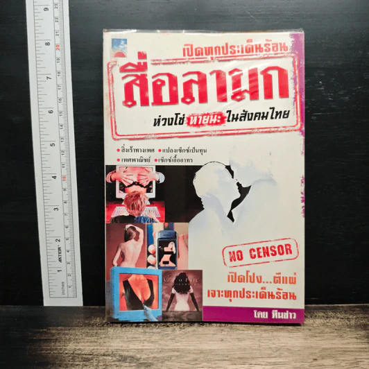 สื่อลามก ห่วงโซ่ หายนะ ในสังคมไทย รูปที่ 1