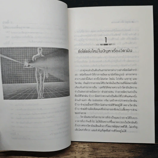 แจ่มใสไปกับวิตามิน - อรชุน เลียววัฒนะผล รูปที่ 9