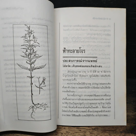 สมุนไพรรักษาไข้ ประสบการณ์จากแพทย์ - พญ.กระแส วัชรปาณ รูปที่ 7