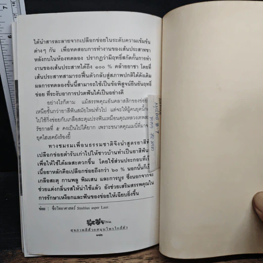 สุขภาพดีด้วยสมุนไพรใกล้ตัว ชุด 7 รูปที่ 9