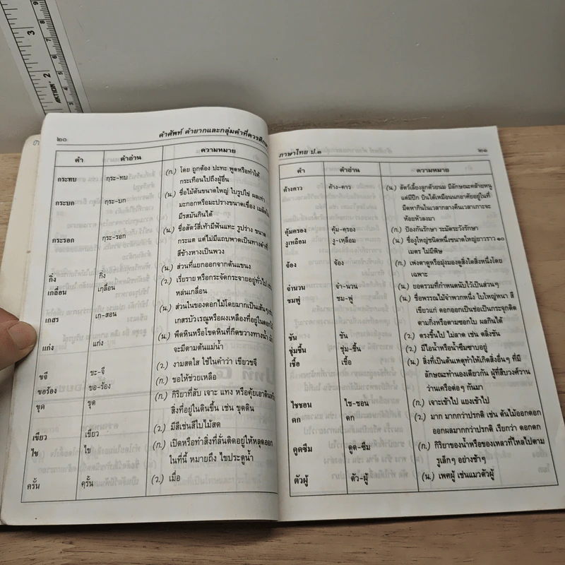 คำศัพท์ ภาษาไทย ชั้น ป.3 - สำลี รักสุทธี รูปที่ 9