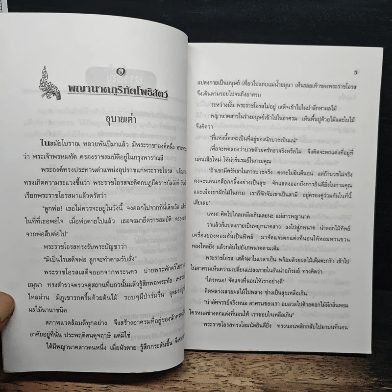 พญานาคใต้บาดาล - รุจน์ มัณฑิรา รูปที่ 8