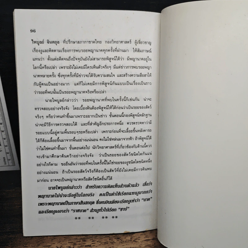 พญานาคใต้บาดาล - รุจน์ มัณฑิรา รูปที่ 9