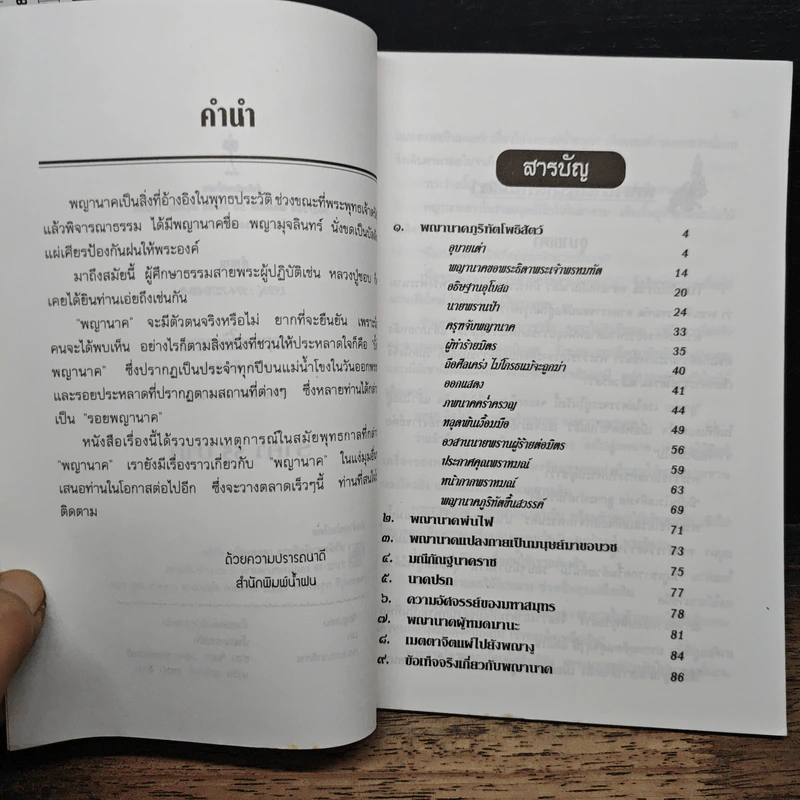 พญานาคใต้บาดาล - รุจน์ มัณฑิรา รูปที่ 7
