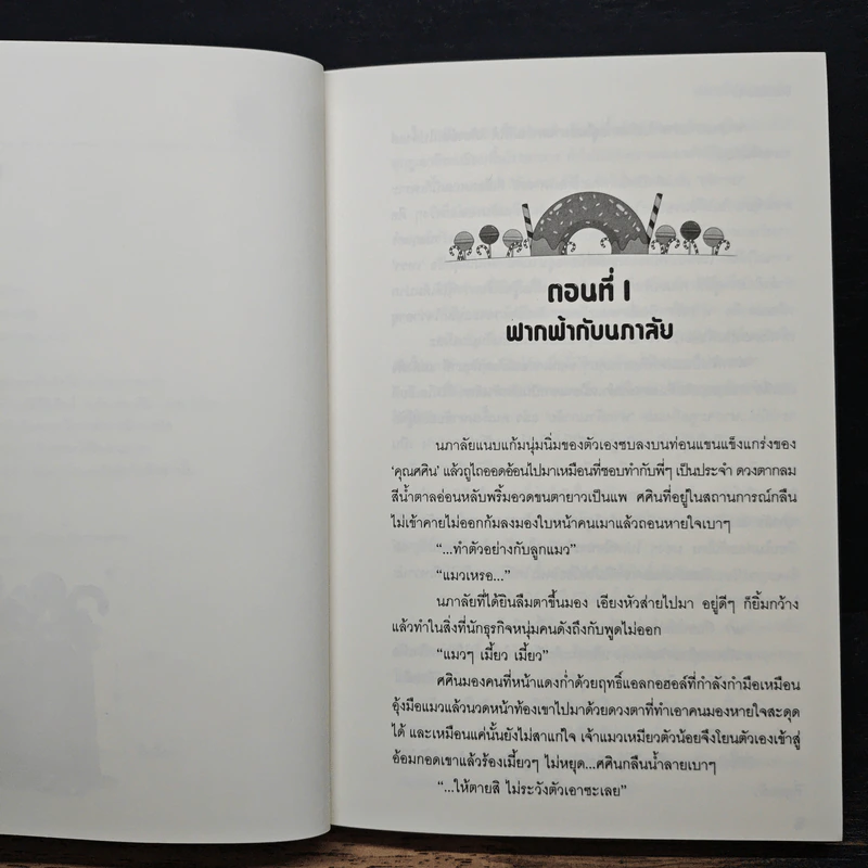 ฟากฟ้านภาลัย รูปที่ 8