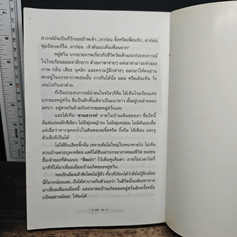 หลายมิติของจีน - ดวงใจ รูปที่ 9