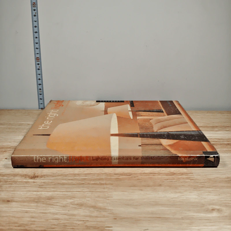 the right light - Lisa Skolnik รูปที่ 2