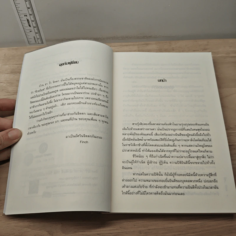 Knight Dragon พันธุ์มังกรป่วนโลก - Finch รูปที่ 7