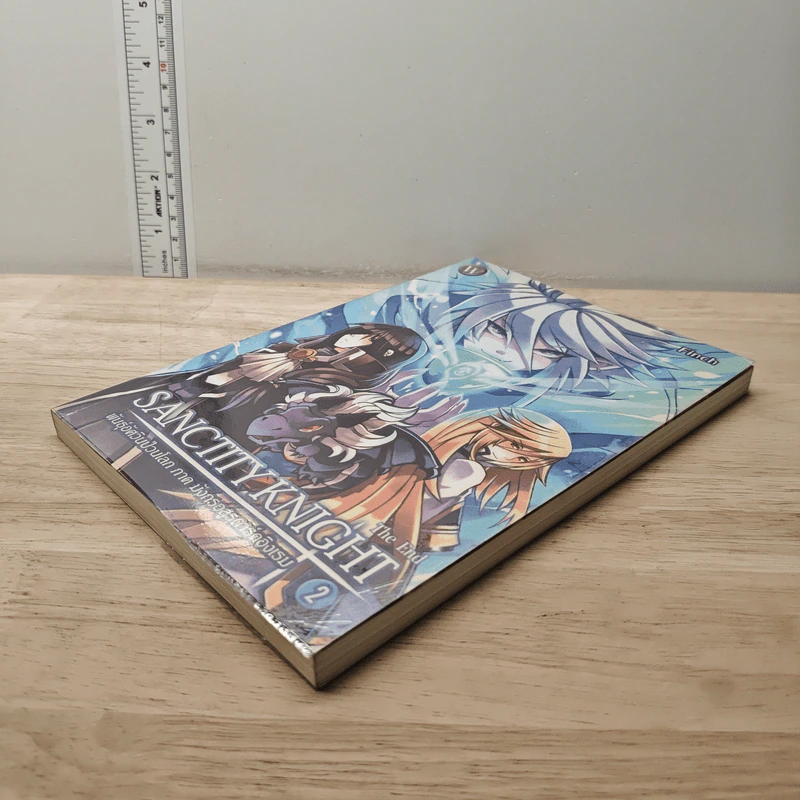 Sanctity Knight พันธุ์อัศวินป่วนโลก ภาค มังกรอสูรดาร์คอิงเรม เล่ม 2 รูปที่ 3
