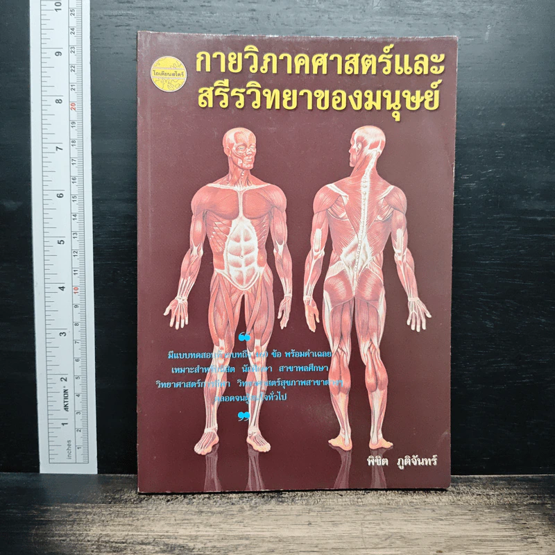 กายวิภาคศาสตร์ และ สรีรวิทยาของมนุษย์ - ผู้ช่วยศาสตราจารย์พิชิต ภูติจันทร์ รูปที่ 1