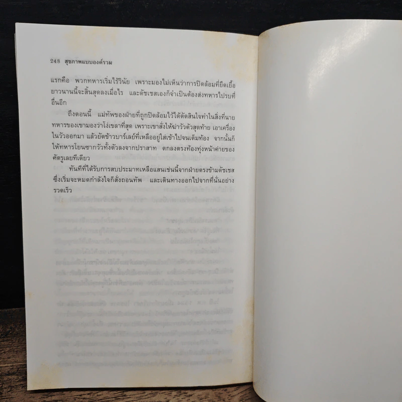 สุขภาพแบบองค์รวม มองย้อนการแพทย์ตะวันออก - มนตรี ภู่มี รูปที่ 9