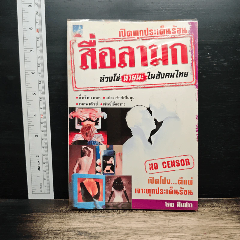 สื่อลามก ห่วงโซ่ หายนะ ในสังคมไทย รูปที่ 1