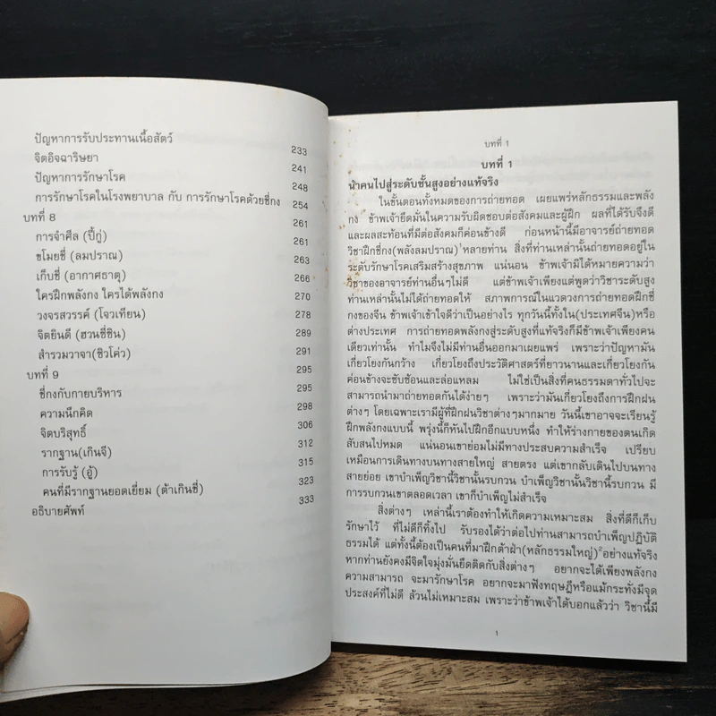 จ้วนฝ่าหลุน - หลี่ หงจื้อ รูปที่ 8