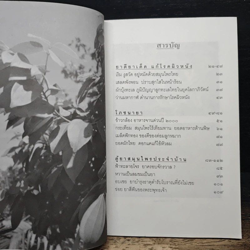 สุขภาพดีด้วยสมุนไพรใกล้ตัว ชุด 7 รูปที่ 7
