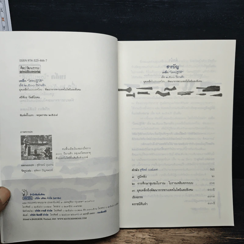 เหล็ก "โลหปฏิวัติ" เมื่อ 2,500 ปีมาแล้ว - ศรีศักร วัลลิโภดม รูปที่ 6