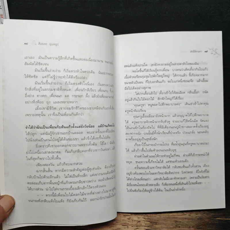 ร่มไม้ชายคา - ศิเรมอร อุณหธูป รูปที่ 8