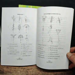 ว่าน ยา-เสน่ห์มหามงคล เล่ม 1-2 - รังว่าน 'อินทุใส' รูปที่ 11