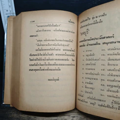 เสือทุ่ง หมื่นซ่อง - ไม้ เมืองเดิม รูปที่ 8