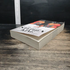 โค่นล้ม The Institute - Stephen King, วิกันดา จันทร์ทองสุข รูปที่ 4