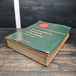 Cunningham's Textbook of Anatomy - G. J. Romanes รูปที่ 4