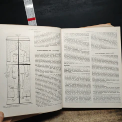 Cunningham's Textbook of Anatomy - G. J. Romanes รูปที่ 10