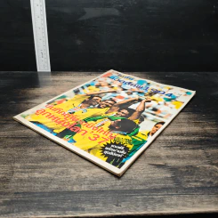 เวิลด์คัพ 1994 Vol.2 รูปที่ 4