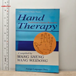 Hand Therapy - Wang Sheng, Wang Weidong รูปที่ 1