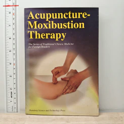 Acupuncture Moxibustion Therapy