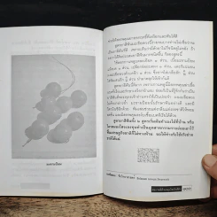 สุขภาพดีด้วยสมุนไพรใกล้ตัว ชุด 12 รูปที่ 9