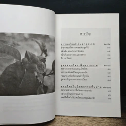 สุขภาพดีด้วยสมุนไพรใกล้ตัว ชุด 10 รูปที่ 7