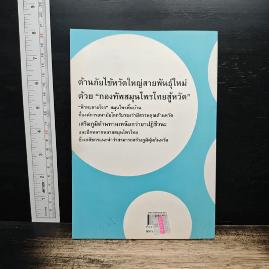 กองทัพสมุนไพรไทย ฟ้าทะลายโจร ต้านหวัด 2009 - สุวิมล โต่นวุธ รูปที่ 2