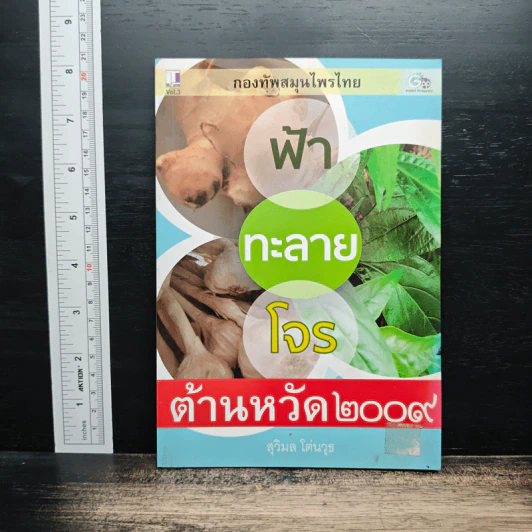 กองทัพสมุนไพรไทย ฟ้าทะลายโจร ต้านหวัด 2009 - สุวิมล โต่นวุธ รูปที่ 1