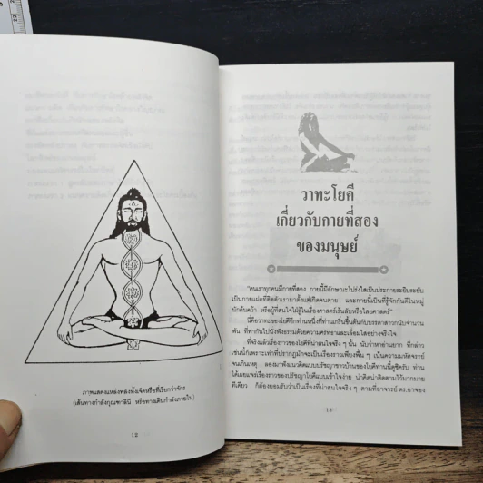 ศาสตร์ลับโยคี - โยคีรามจรกะ, บรรยง บุญฤทธิ์ รูปที่ 9