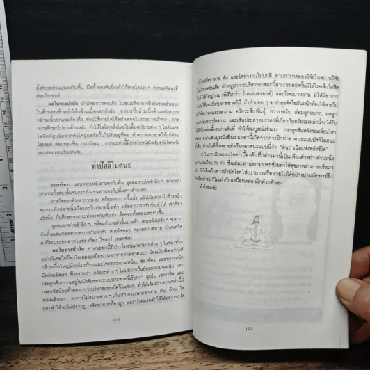 ศาสตร์ลับโยคี - โยคีรามจรกะ, บรรยง บุญฤทธิ์ รูปที่ 10