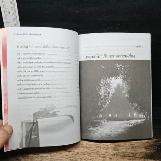 เก็บพระให้เป็น เห็นแต่งอกเงย - ษรวัฒน์ รูปที่ 9