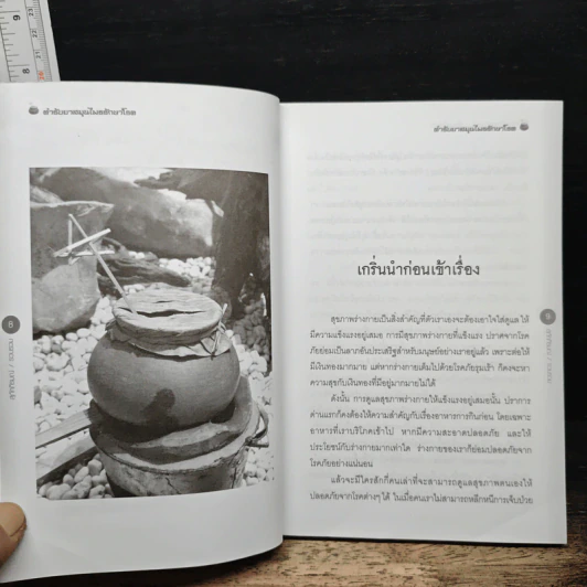 ตำรับยาสมุนไพรรักษาโรค สูตรภูมิปัญญาชาวบ้าน - สุภัคภิรมย์ รูปที่ 9