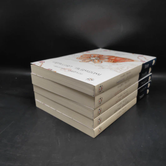 Boxset อัญมณีแห่งรัก Love Jewelry 5 เล่ม รูปที่ 7