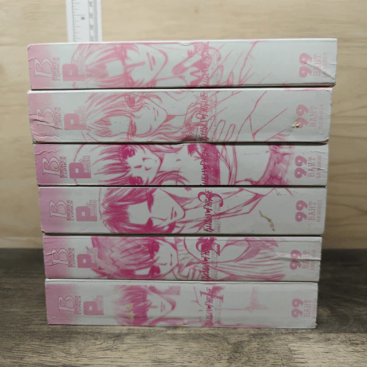 จังหวะร็อคดนตรีรัก BigBook 6 เล่มจบ รูปที่ 2