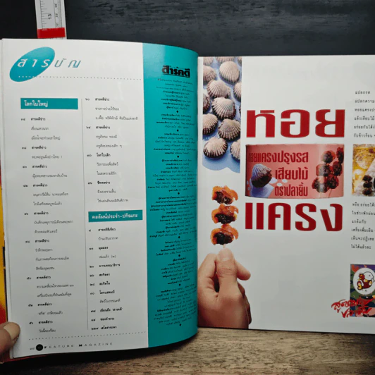 Feature Magazine สารคดี ปีที่ 9 ฉบับที่ 100 มิ.ย.2536 รูปที่ 8