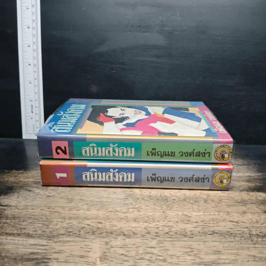 สนิมสังคม 2 เล่มจบ - เพ็ญแข วงศ์สง่า รูปที่ 3