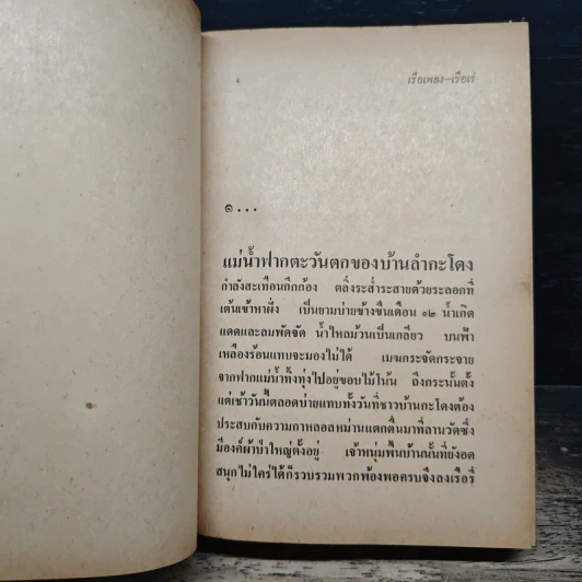 เรือเพลงเรือเร่ โป๊ะล่ม - ไม้ เมืองเดิม รูปที่ 8