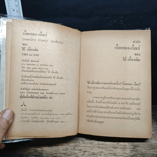 เรือเพลงเรือเร่ โป๊ะล่ม - ไม้ เมืองเดิม รูปที่ 7