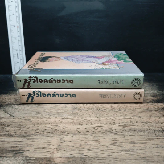 หัวใจคล้ายวาด 2 เล่มจบ - จิตรเลขา รูปที่ 3