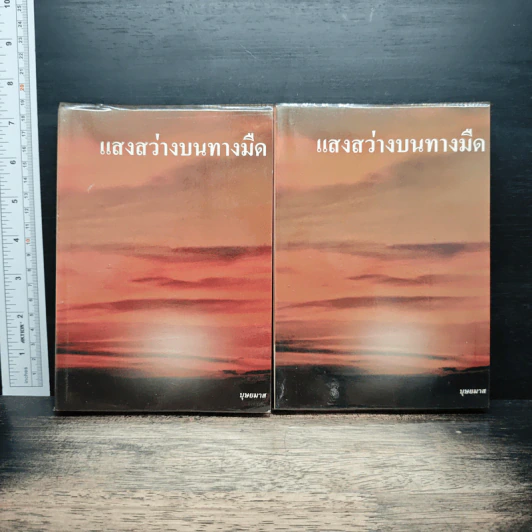 แสงสว่างบนทางมืด 2 เล่มจบ - บุษยมาส รูปที่ 1