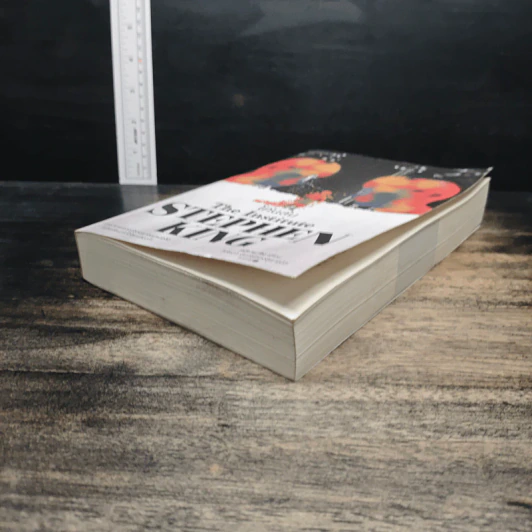 โค่นล้ม The Institute - Stephen King, วิกันดา จันทร์ทองสุข รูปที่ 4