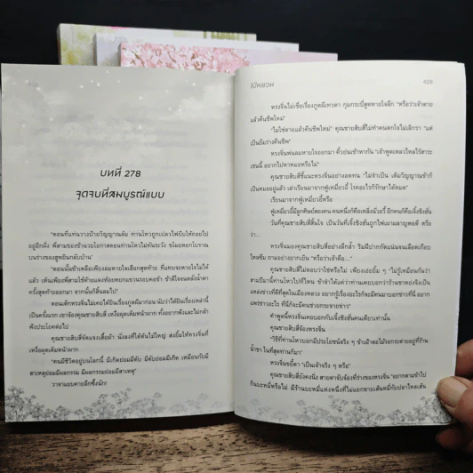 กลับชาติมาล้างแค้น วางแผนพลิกบัลลังก์ 4 เล่มจบ - Bai Yuan รูปที่ 8